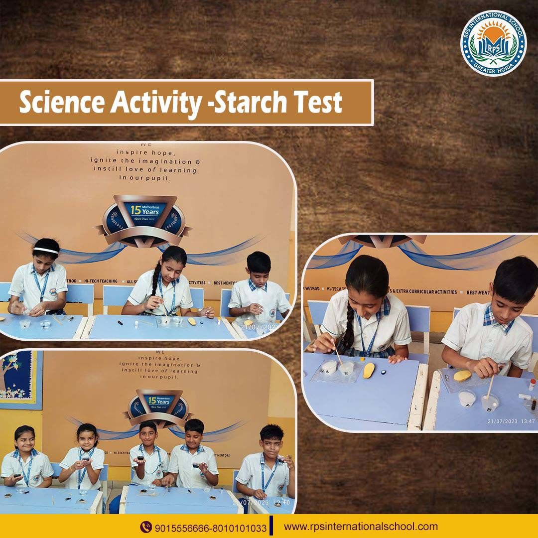 RPSINTSCHOOL's tweet photo. Students in class conducted the Starch Test science activity !
Exciting hands-on learning exploring the presence of starch! π
#starchtest
#Education
#AdmissionOpen
#greaternoidaschool #bestschoolingreaternoida
#RPSInternationalschool #thewayyouwantyourschooltobe https://t.co/NQNbcURvXP