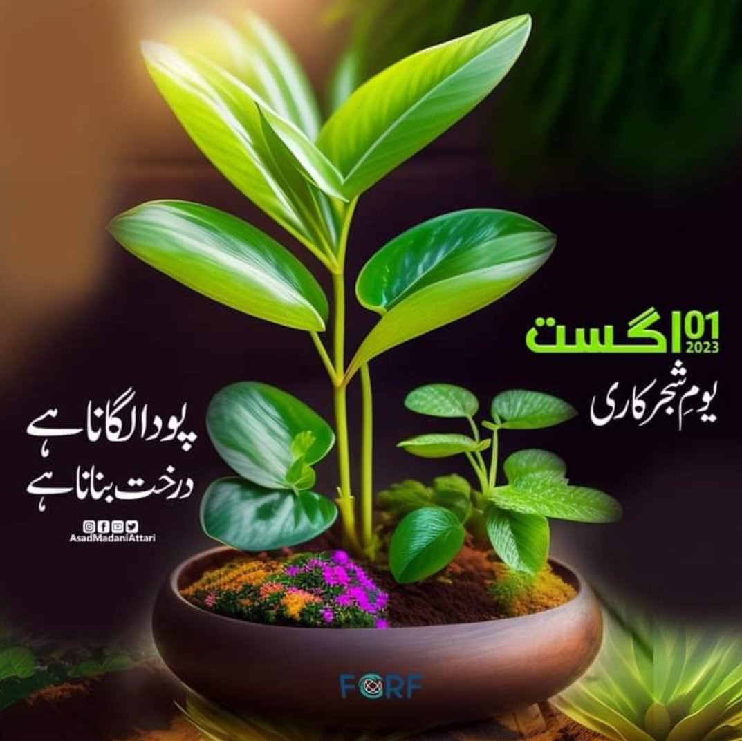 Tanveer Ahmad tweet media