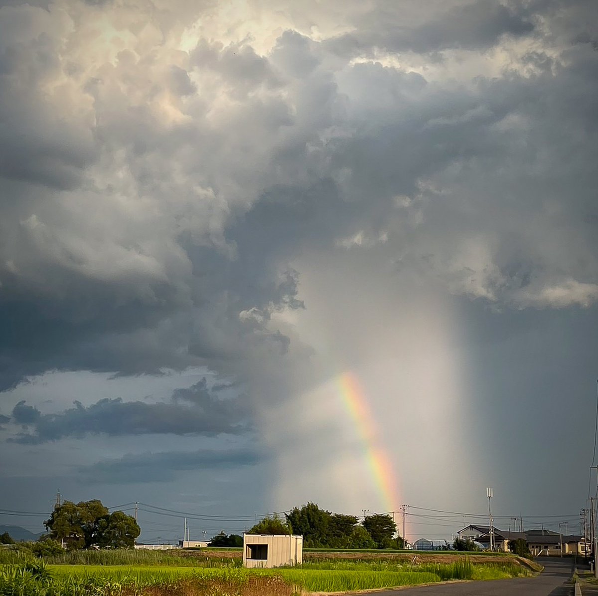 『あそこの雨柱凄いな〜(･･;)💦』って見てたらなんと虹まで出て来て驚きでした😳🌈

これは激レアなのでは…⁉︎