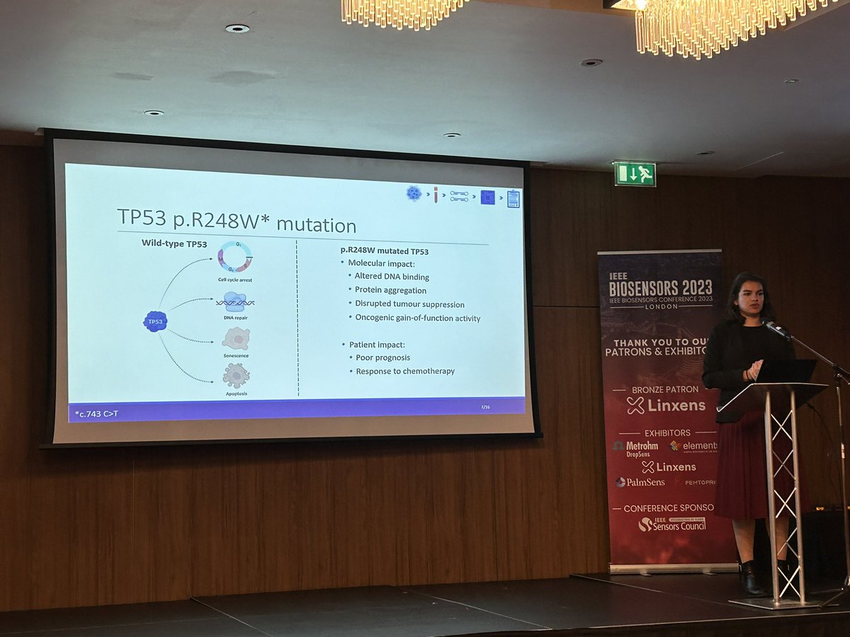 Melpomeni Kalofonou tweet media