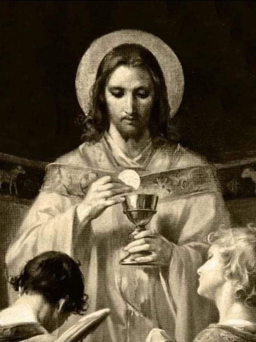BishStrickland's tweet photo. Christ is the vine. The traditional Latin Mass is rooted in the vine, robust with truth &amp; bears much fruit. Any attempt to sever the traditional Mass from the Church is an attack on the unbroken link to tradition as received from the apostles, &amp; an attack on the Deposit of Faith. https://t.co/W5CKeLNT4b