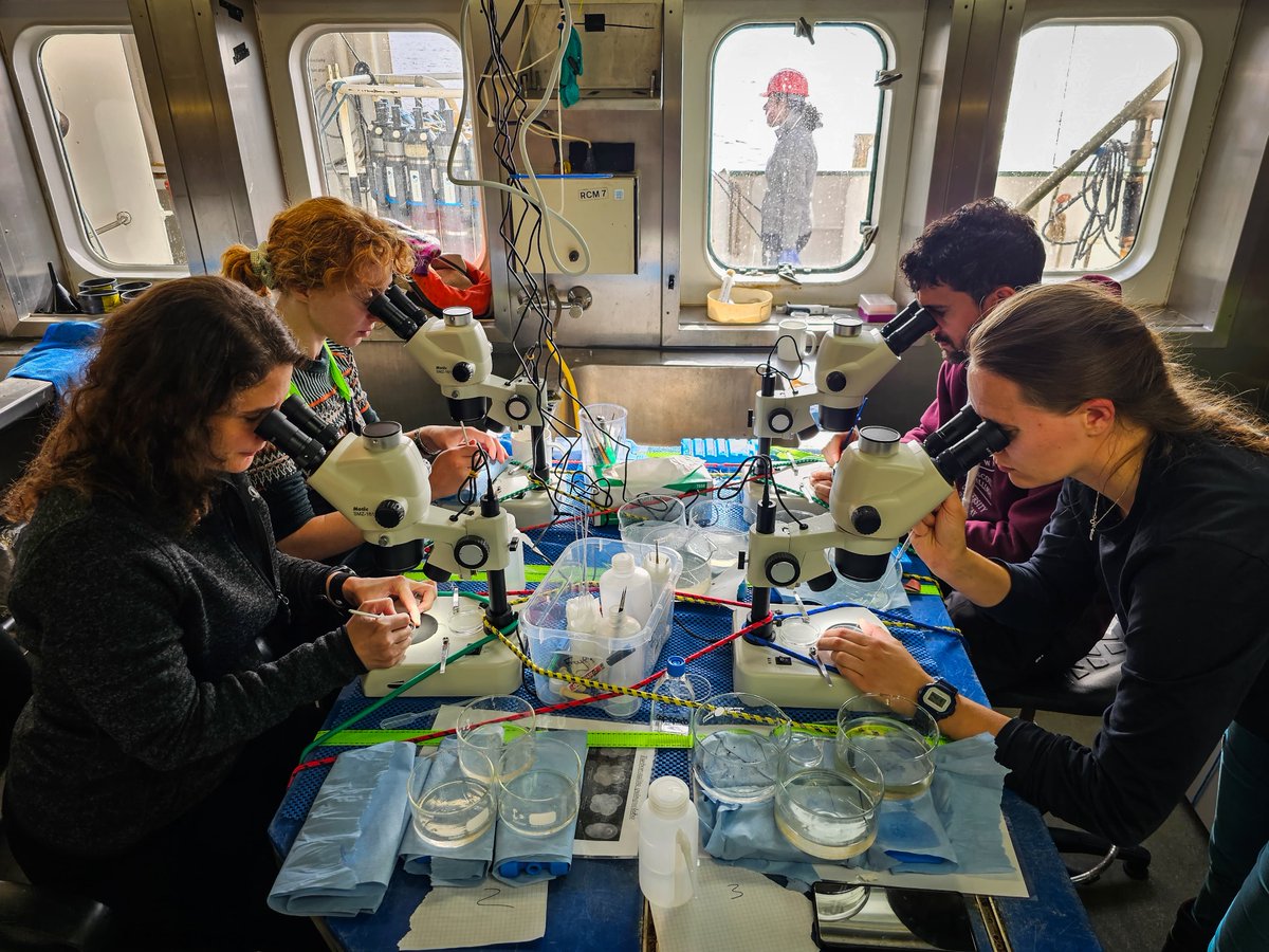 Marine Institute Research Vessels tweet media