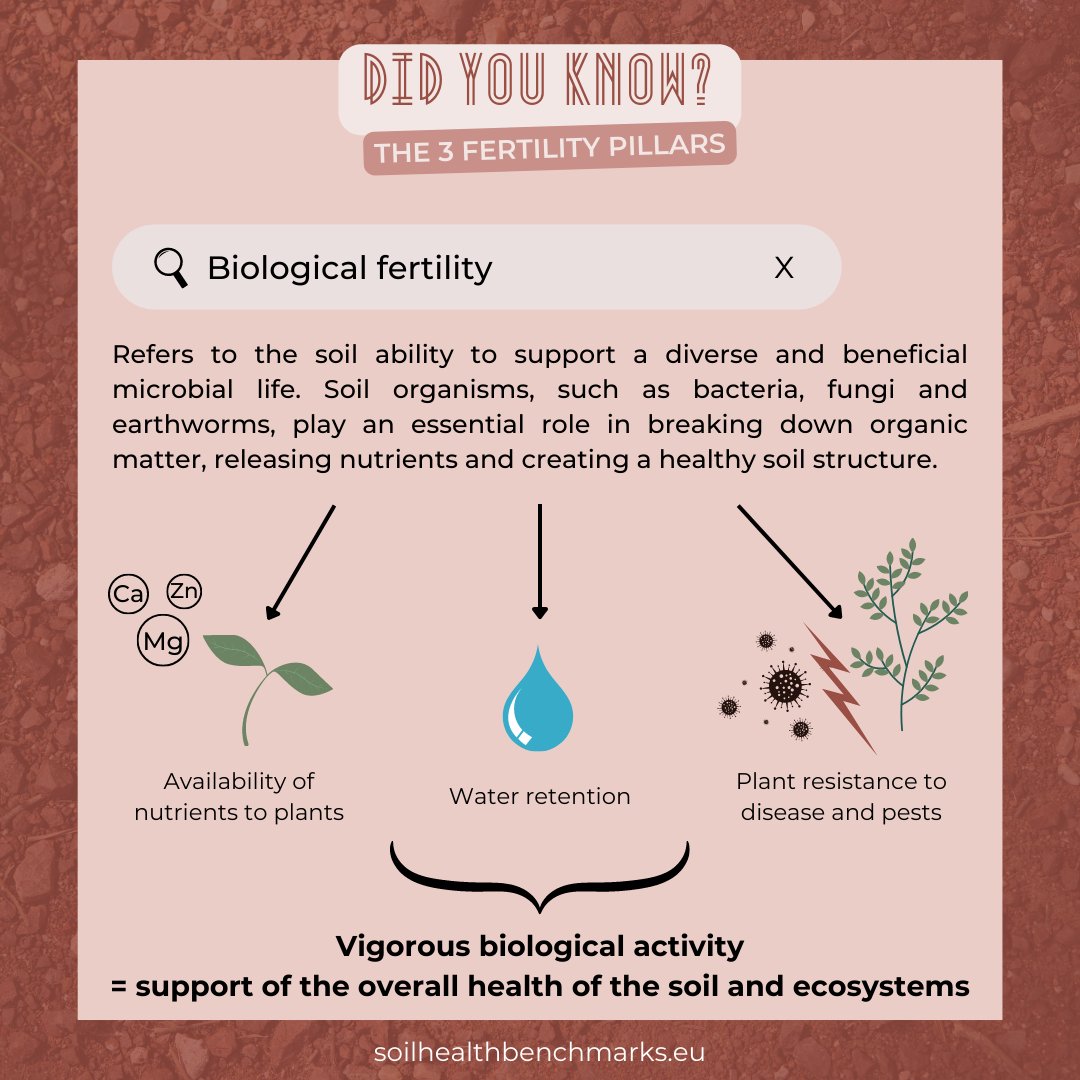 🤔 Do you know the 3 pillars of #soilfertility❔

🌱 To determine the health of a soil, various indicators are analyzed and their values are compared to an optimal range. They are categorized into three groups: 🧪 chemical, ⚛️ physical and 🪱 biological.

#BENCHMARKS #SoilHealth