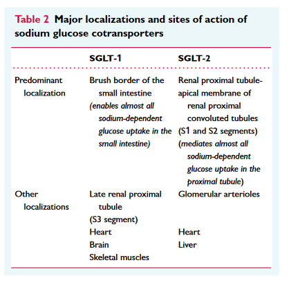 The decongestive mechanisms related with SGLT-2 inhibitors in HF. Of course the benefit form the SGLT-2 stem from more complex and yet unknown mechanisms that go beyond the 'simple' decongestion. Take a look at our latest paper in #EJHF onlinelibrary.wiley.com/doi/full/10.10… @FudimMarat
