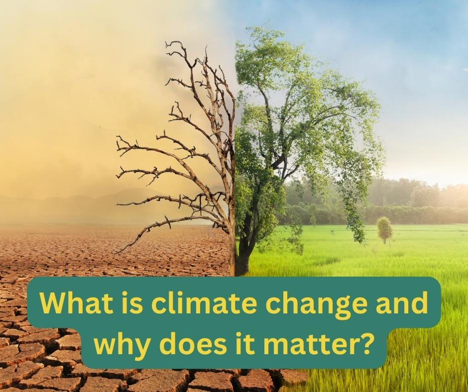 Furaha_sa tweet media