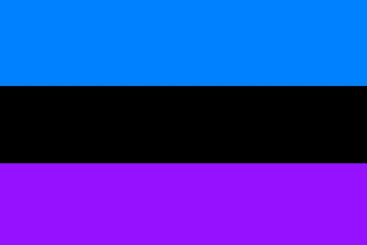 flatreality_pro's tweet photo. Flat Reality if it had its own flag🤔 https://t.co/U5Ey4xJxWq