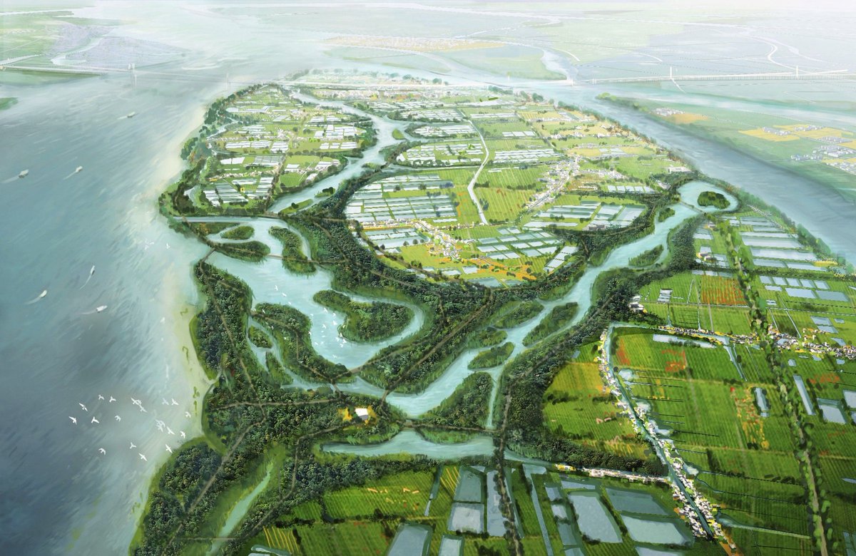 Robin Monotti tweet media