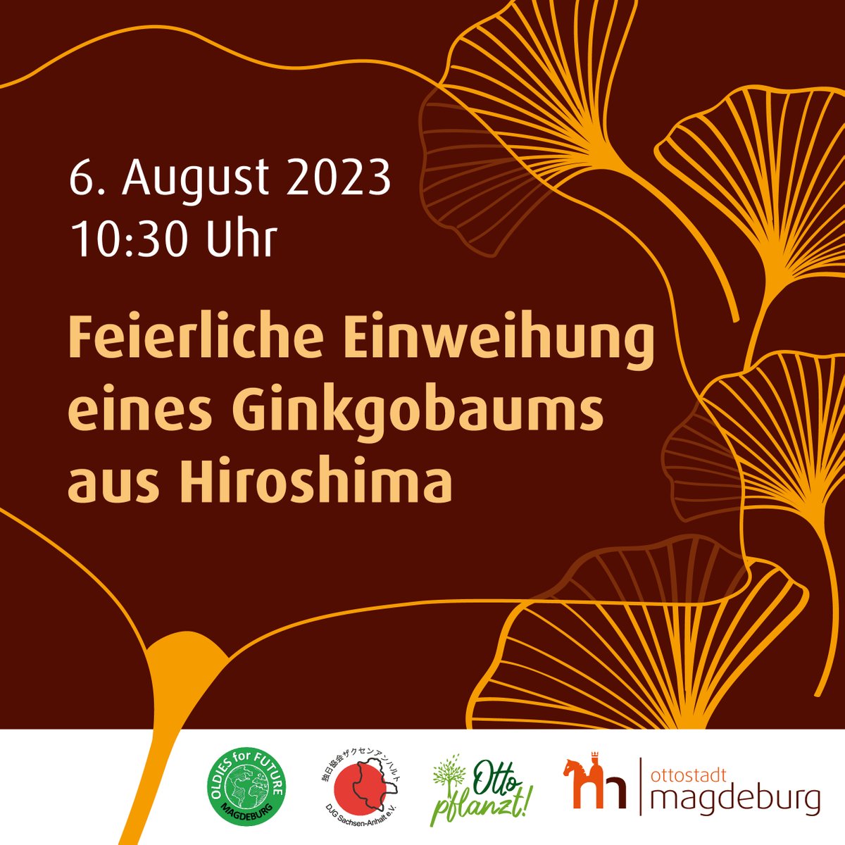 Ottostadt's tweet photo. Ginkgobäume waren nach dem Atombombenabwurf auf #Hiroshima die ersten Bäume, die wieder austrieben. @Mayors4Peace verbreitet #Ginkgo Sämlinge als Symbol der Hoffnung auf der ganzen 🌍. Sonntag findet am Askanischen Platz ein #Gedenken statt. https://t.co/7HdWEiCoco