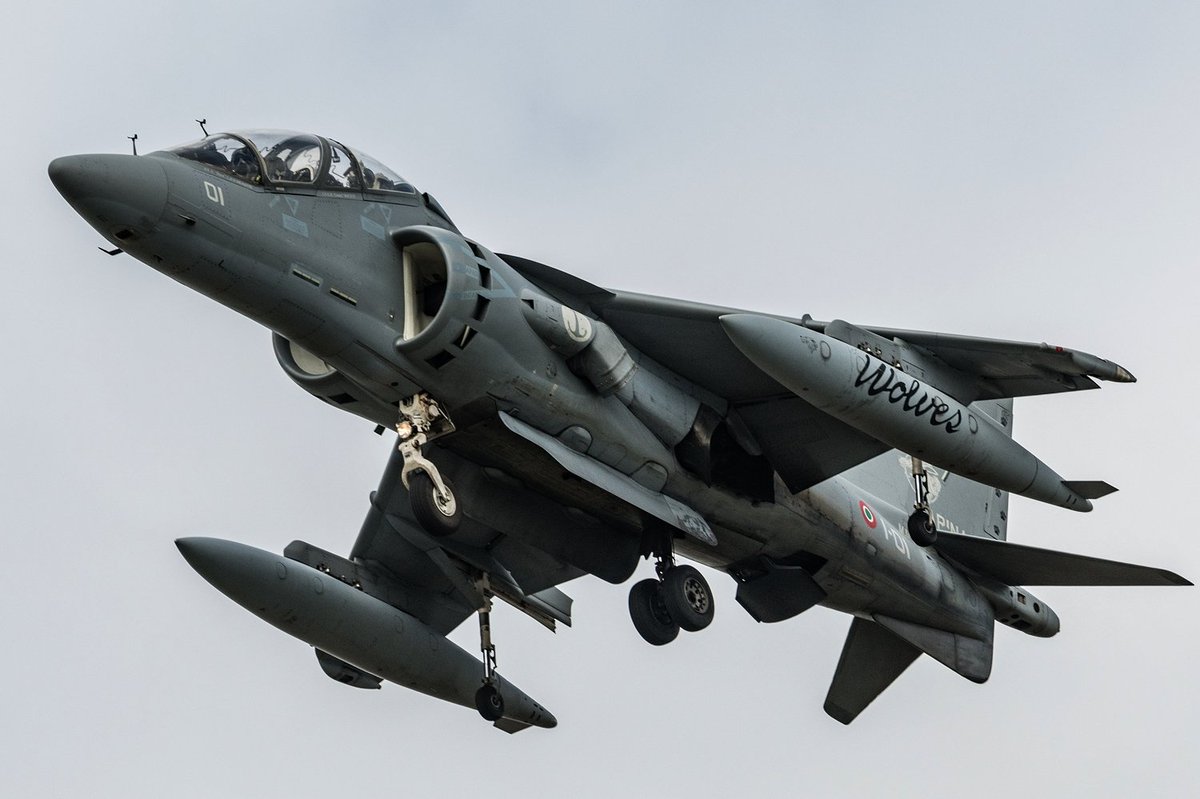 shghr666's tweet image. イタリア海軍（Marina Militare Italiana） GRUPEAR AV-8B+/TAV-8B Harrier II #RIAT2023

おなじみの単座型とレアな複座型。 やっぱりこの複座型のフォルムには慣れない🤣