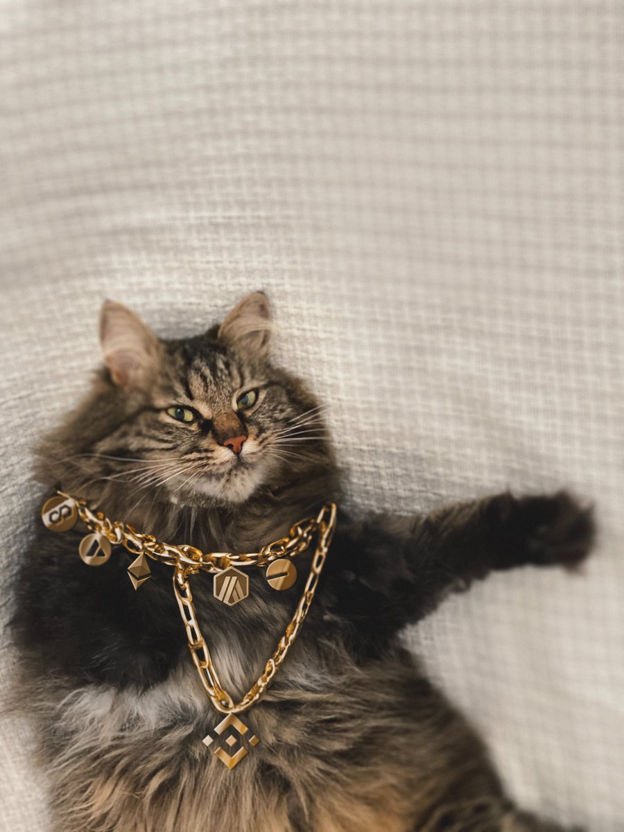 Meow no MEV tweet media