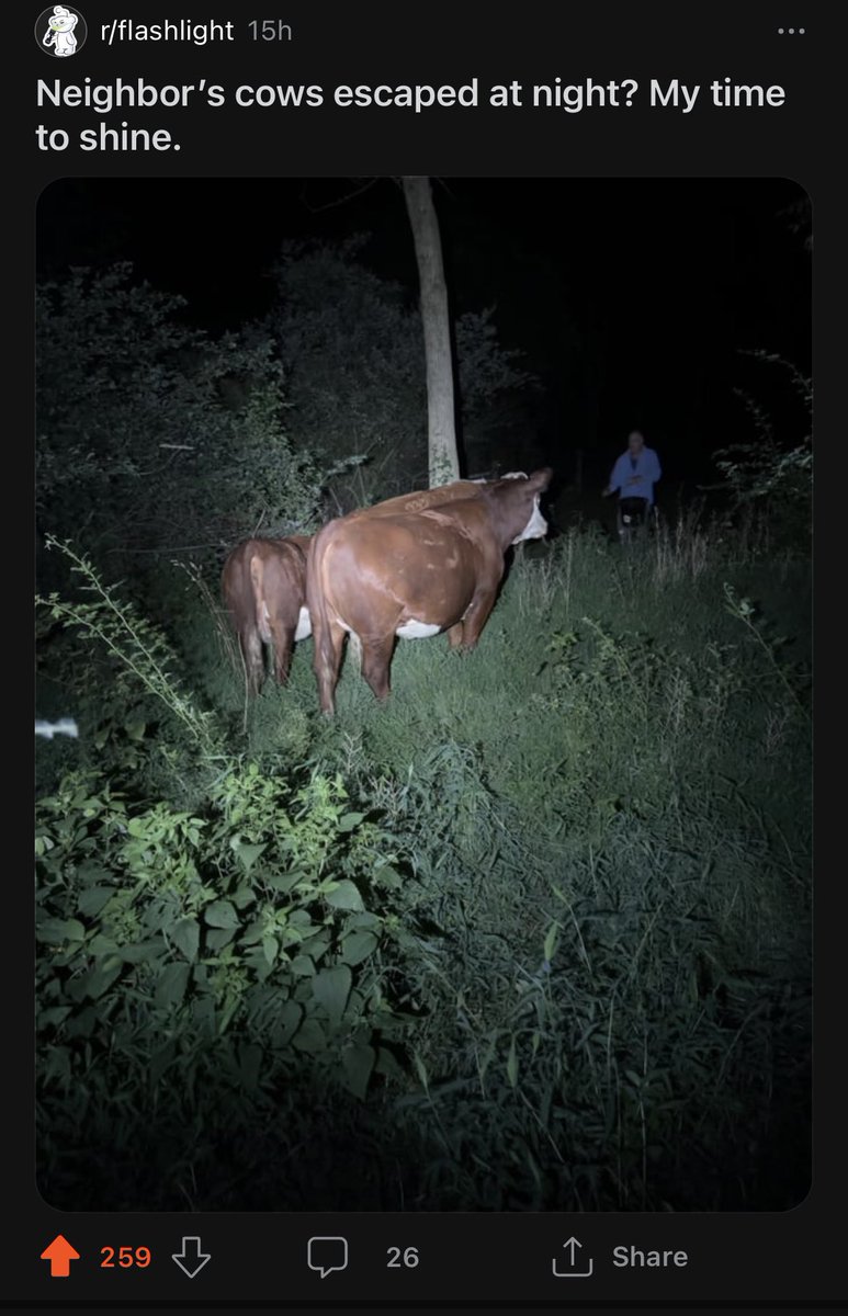 Cowboy_Mike_'s tweet photo. I love the flashlight subreddit https://t.co/ilIqbKvL29