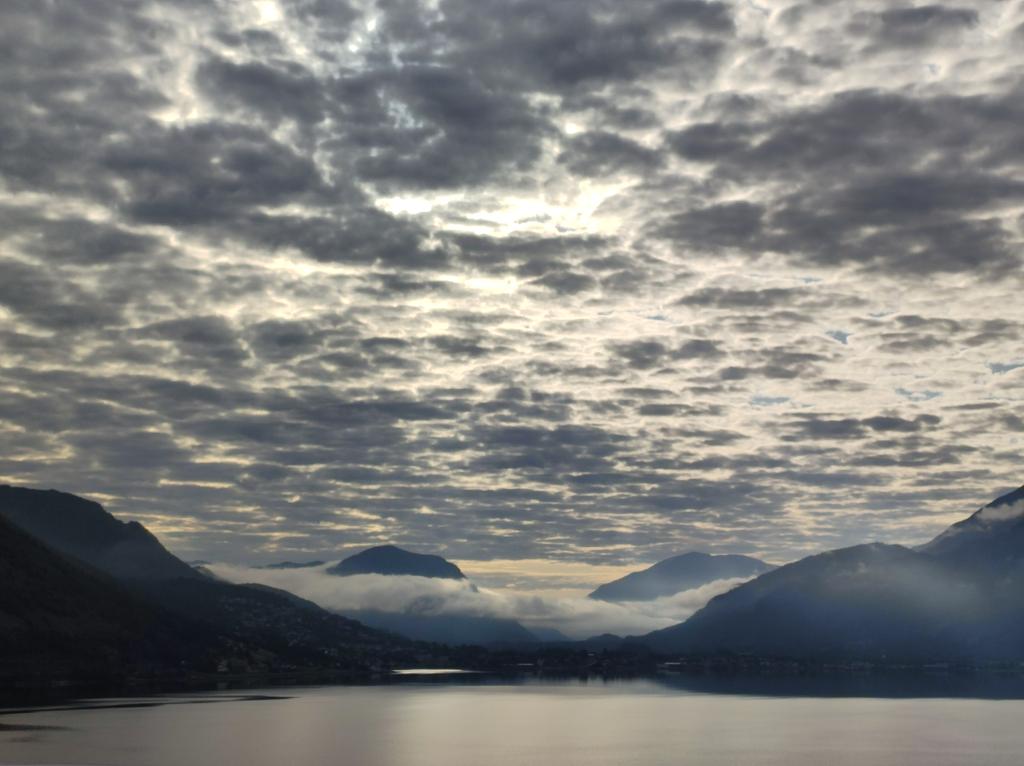 Florian Hesse tweet media