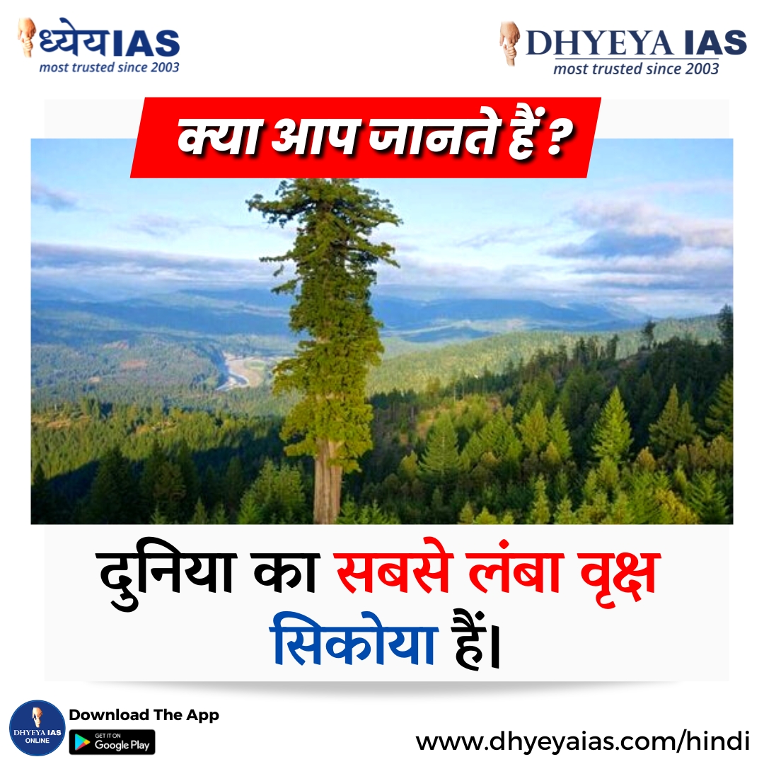 Dhyeya_IAS's tweet photo. ऐसे ही और interesting facts के लिए follow Us.
#DidYouKnow #dhyeyaias #facts #tallest #tallesttree #trees #sequoia https://t.co/QLzqngO6G4