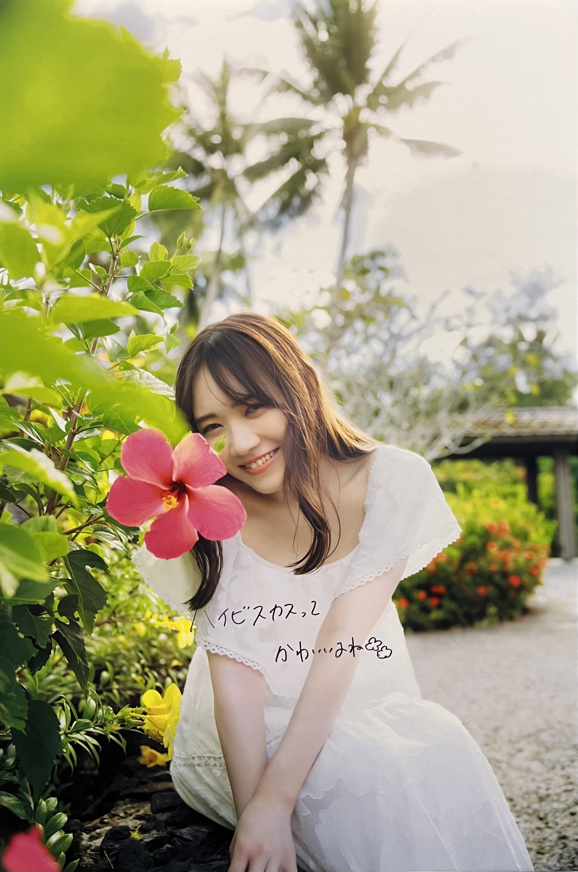 しゅーへい on X: 
