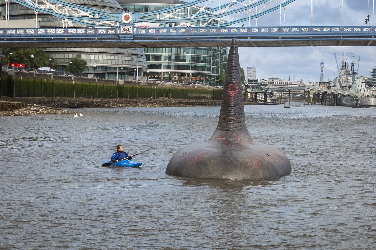 greenawaypr's tweet photo. Three giant Megalodon fins appeared to rise to the surface of the River Thames to celebrate the UK release of @MegMovie on 4th August. Members of the public will be able to view the fins in Leicester Square Gardens between 2pm and 4.30pm on the day of release. https://t.co/VpaP0d0FzR