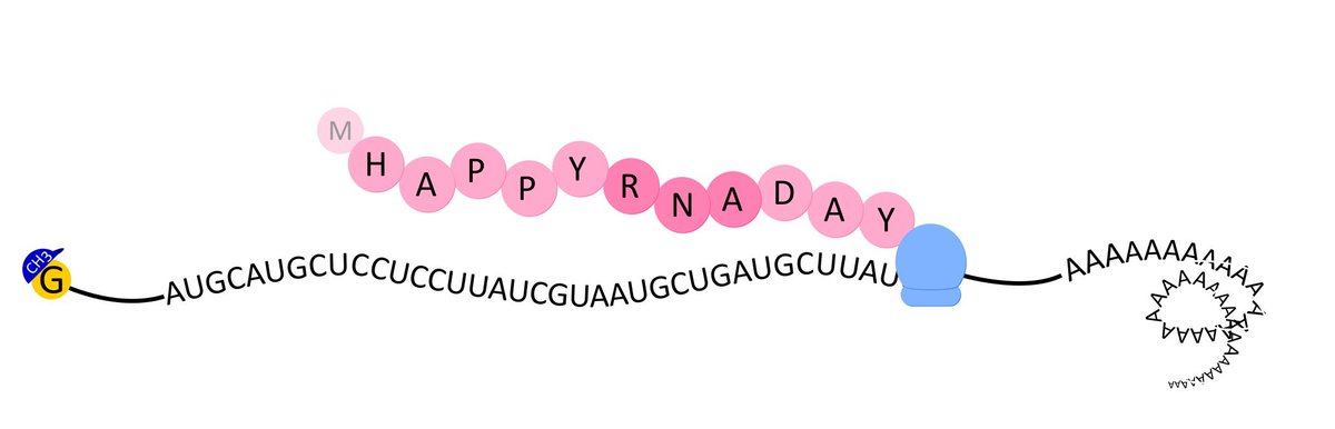 Happy RNA Day!