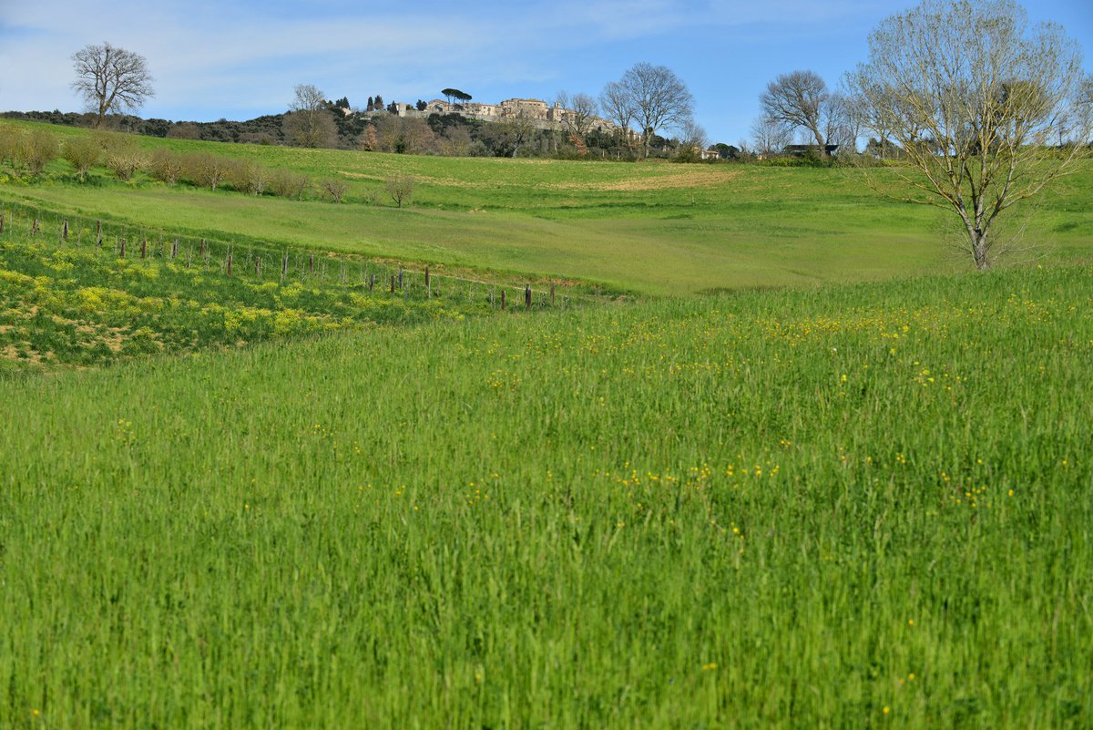 Sometimes a scriptwriter needs a little distance. A different perspective. Join me on #TheUmbriaRetreat and give yourself, and your project, a bit of breathing space.