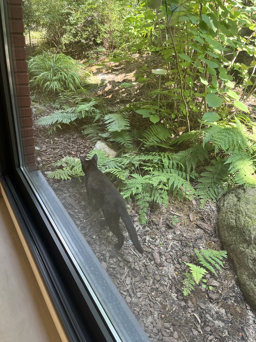 삼세영 직원 tweet media