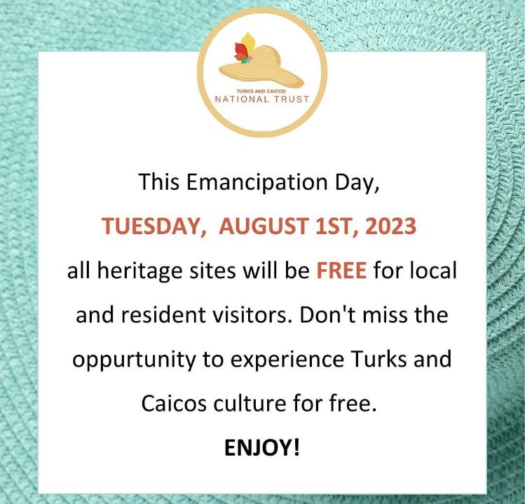 TCI News tweet media