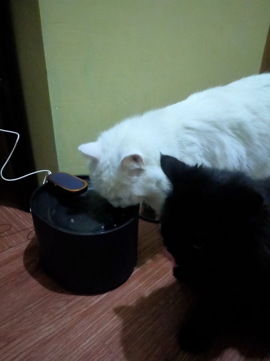 Kcg! Alhamdulillah guys, anak² mau minum di water fountain walaupun harus sender contohin dulu