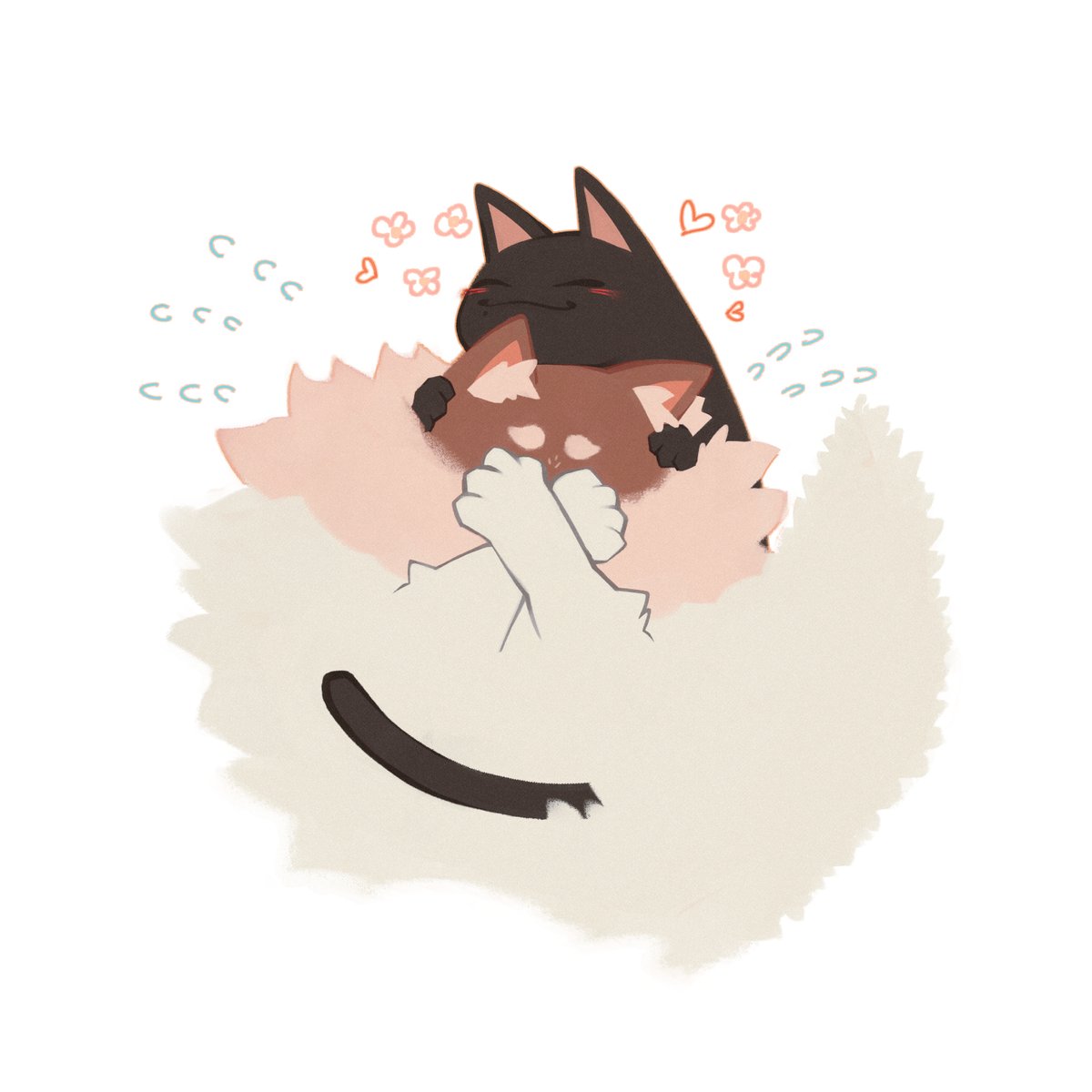 #준잇 #junhao