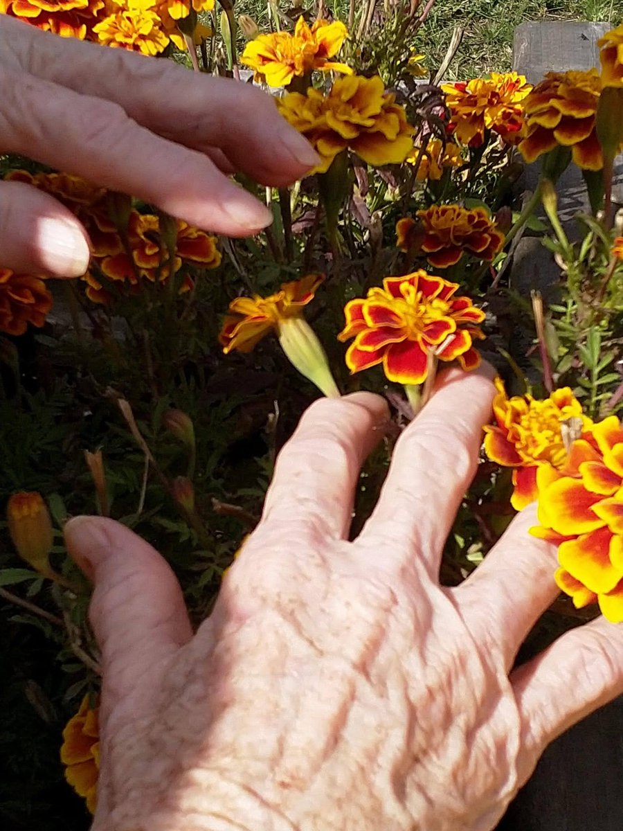 Vaernew1Marijke's tweet photo. No much words needed 🏵♥️🏵
#tastprikkel #iedereenhoudtvanaanraking
#mensenhoudenvanbloemen
#alswoordennietmeerkunnen
#reachoutandtouch
#carefor
#houdenvanmensen https://t.co/ZjCbpZJidT