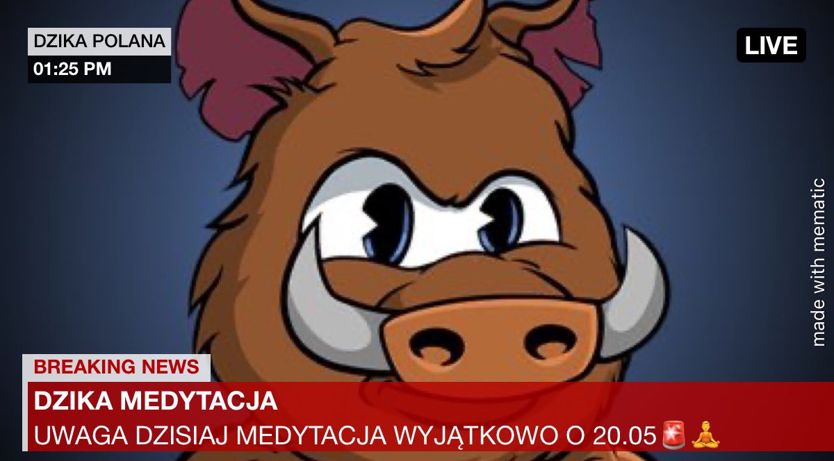 Dziki jesteście?🐗

Kolejny tydzień zapraszamy was na wtorkową medytację #dzikamedytacja💆

🧘🏻‍♂️Prowadzący:<a href="/3xhuman/">“exHuman” ❀hmu for devs❀</a> (@ThePolacyNFT) 
📅Kiedy: 1.08
⏰Czas: wyjątkowo o 20.05!!
📍Gdzie: Discord Crypto Dziki (link w bio)

Kto się dzisiaj pojawi z nami?👀