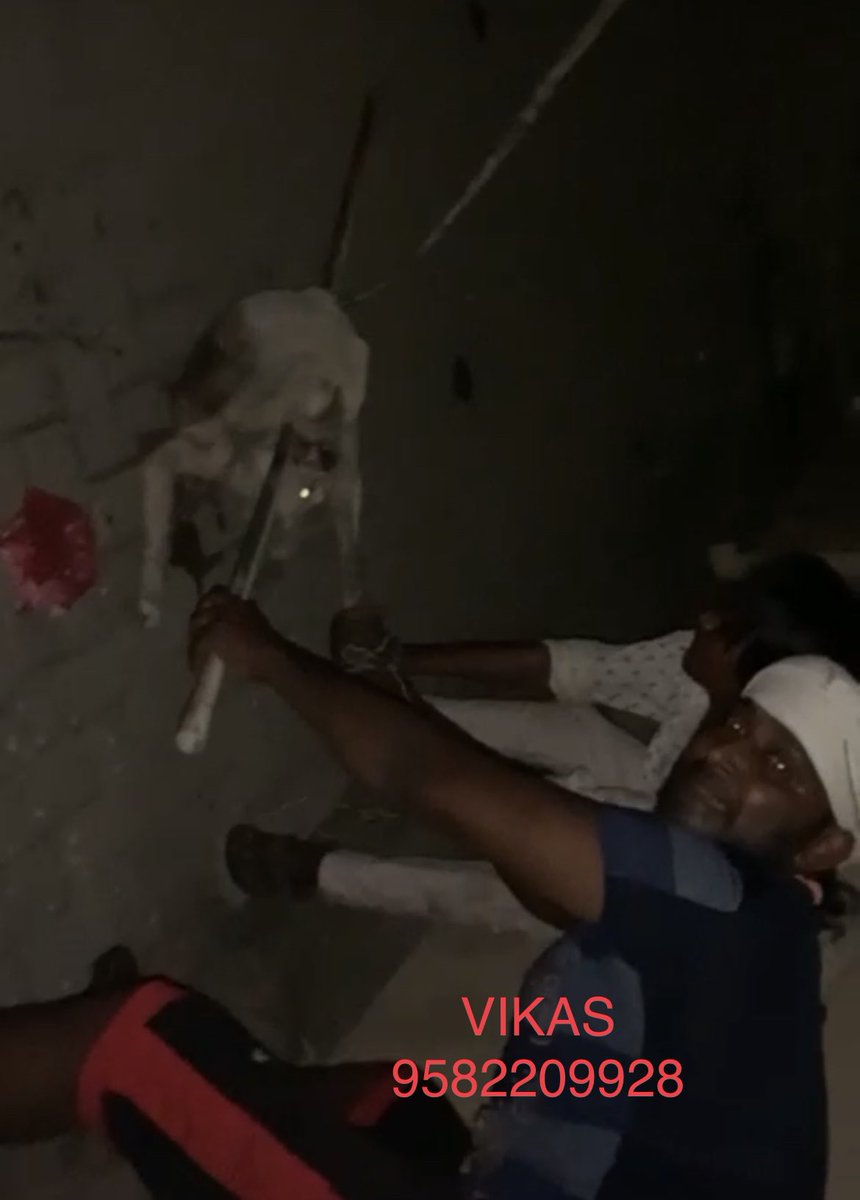 kritigrover27's tweet photo. @PunitaS44575106 @vidushisha32434 @joedelhi plz see how cruel they ppl are with this poor dog They tied his legs n then beat him badly and then throw https://t.co/fvNZMgJvZA is missing till now.Please call n teach them a lesson as du sd dy ll do https://t.co/YvjOVNhNpZ GUILT https://t.co/U83hxdpHRK