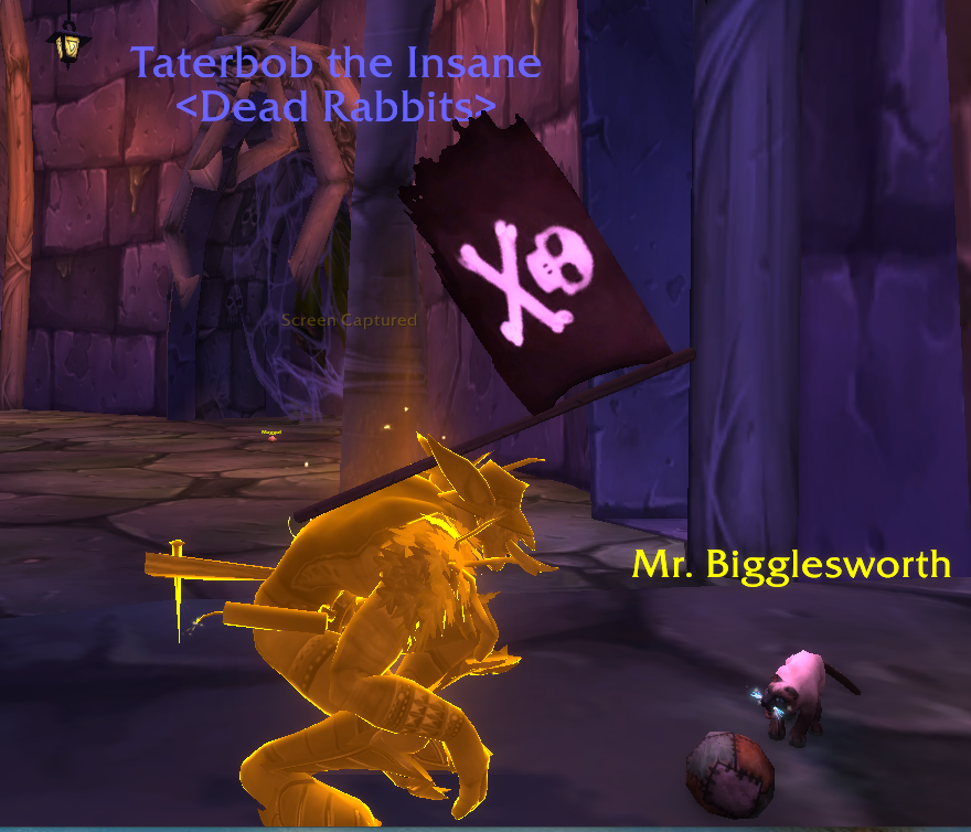 Taterbobasaurus's tweet photo. Evil kitties are still kitties. <3   #Wow #Naxx #Flashbackintime https://t.co/iti5NYNyIv