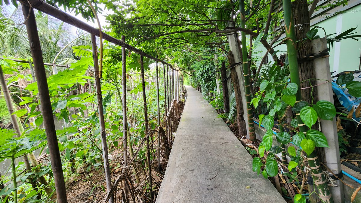 misterkwai's tweet photo. This path led me to a garbage dump!

#GarbageMountain https://t.co/c8upa2LQds