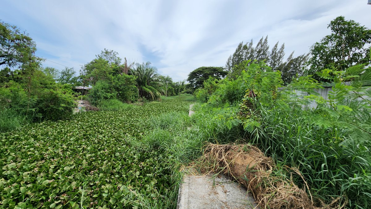 misterkwai's tweet photo. This path led me to a garbage dump!

#GarbageMountain https://t.co/c8upa2LQds