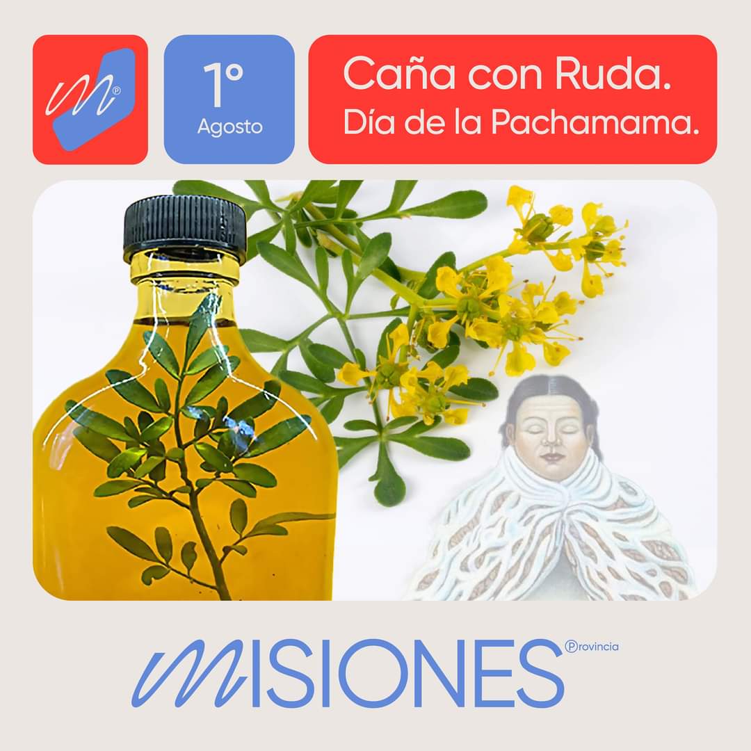 vjkreimer's tweet photo. 🌿🌍🥃Hoy, nos sumergimos en la tradición popular de consumir caña con ruda para agradecer a la madre tierra por su generosidad y protección.

Enraizados en nuestras tradiciones populares, aprendemos a valorar y proteger nuestro entorno natural. https://t.co/6QIxNLe1D5