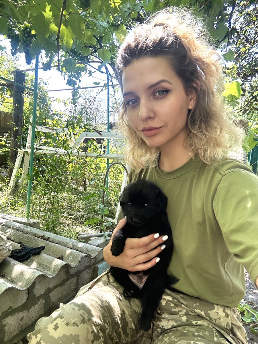 Yoki_zsu's tweet photo. Я знаю скільки подібних постів у стрічці. Знаю, що покинутих тварин багато і що притулки й так переповнені. Я розумію, що це задача навіть не з однією зірочкою, але ми маємо спробувати. ДЕВʼЯТЬ цуценят шукають своїх люблячих батьків. https://t.co/5BbOux0pVy