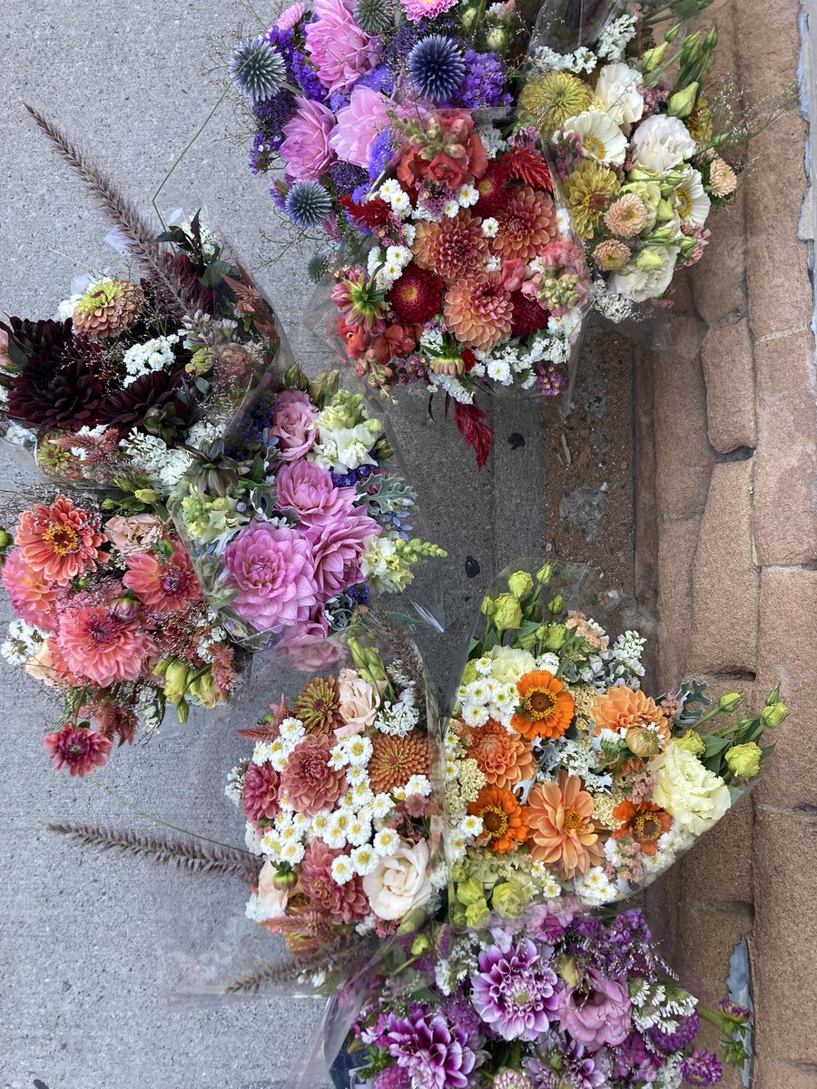 Fresh flowers this Tuesday!