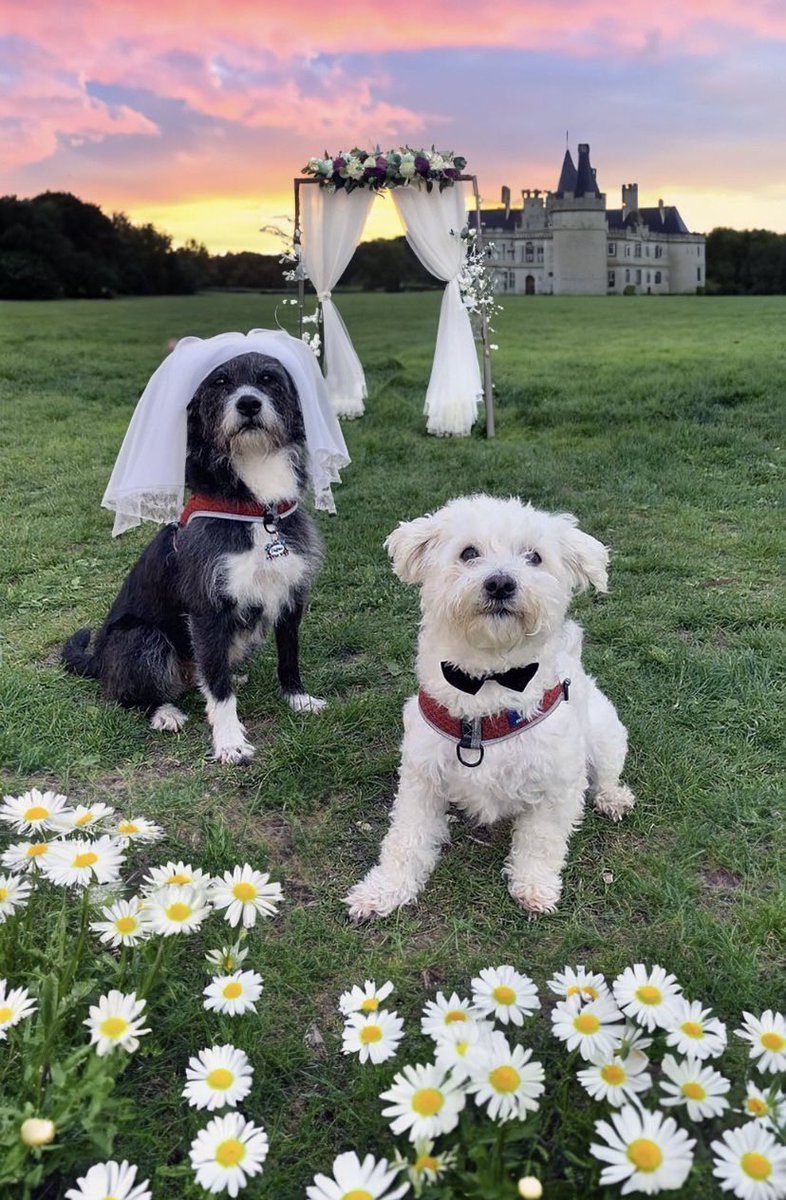 kalım tivitıl açmış nelde bu kadın göldünüs mü yaldım edin buliyim