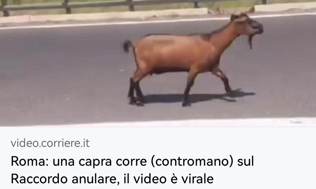 E delle altre 100mila che vanno nel verso giusto che mi dite?
#capre #gra #RaccordoAnulare