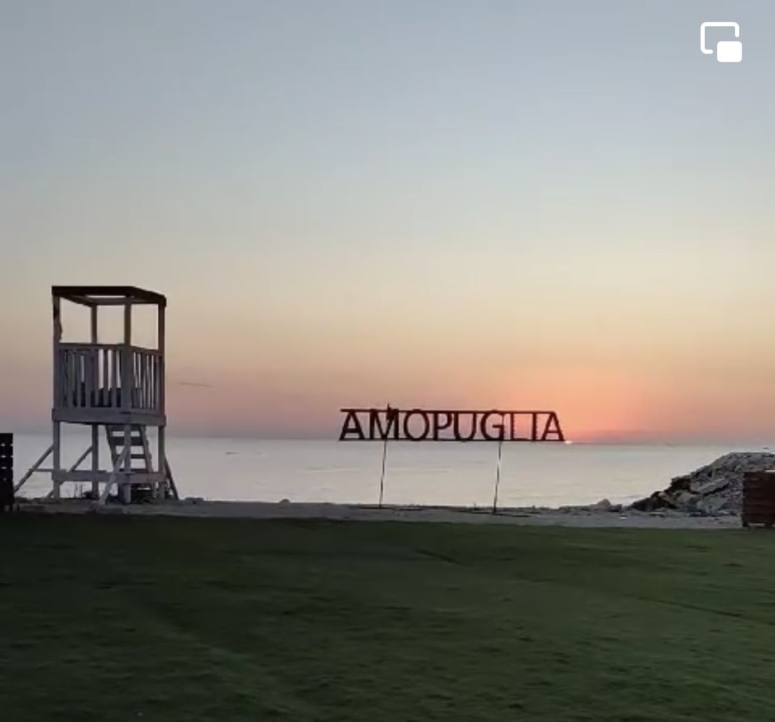 AMOPuglia Onlus tweet media