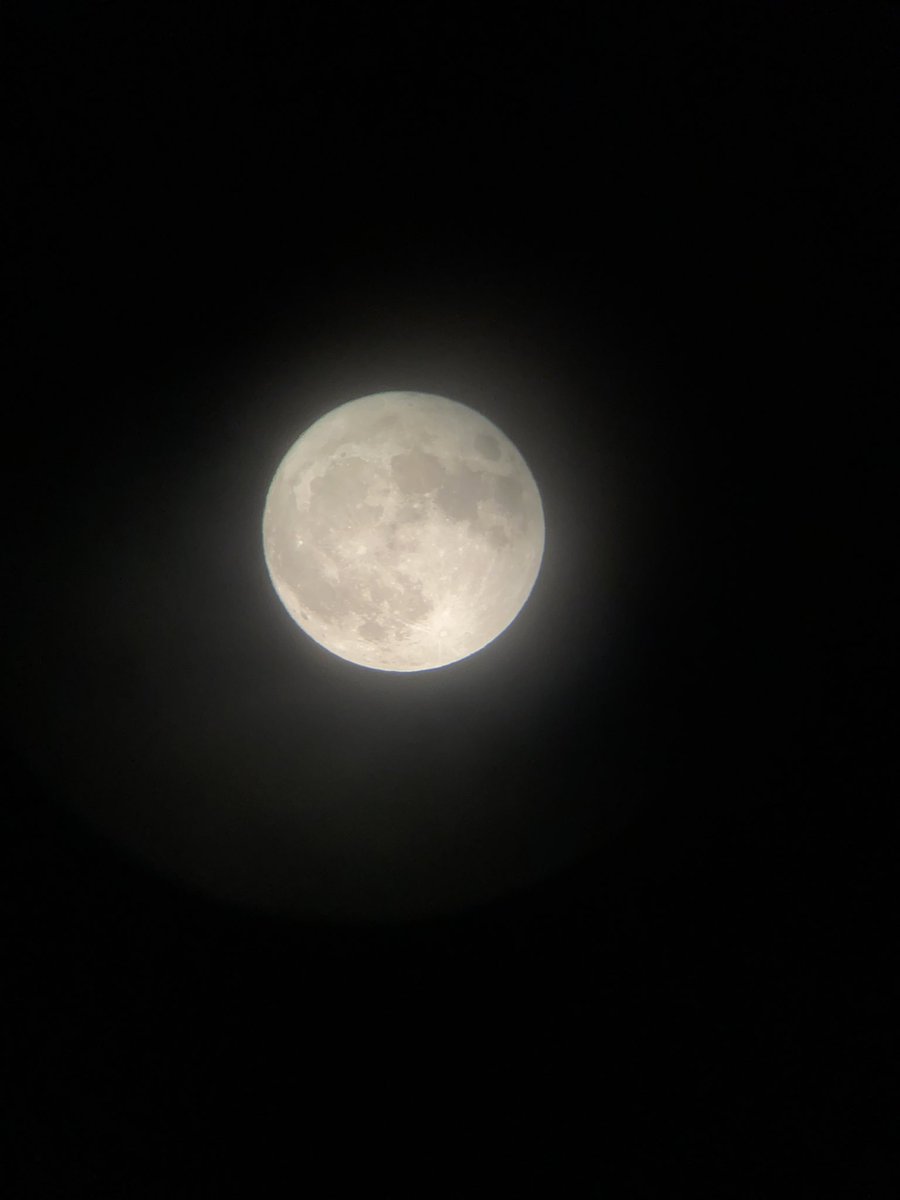 tsumoon's tweet photo. https://t.co/MVVb26QsNT