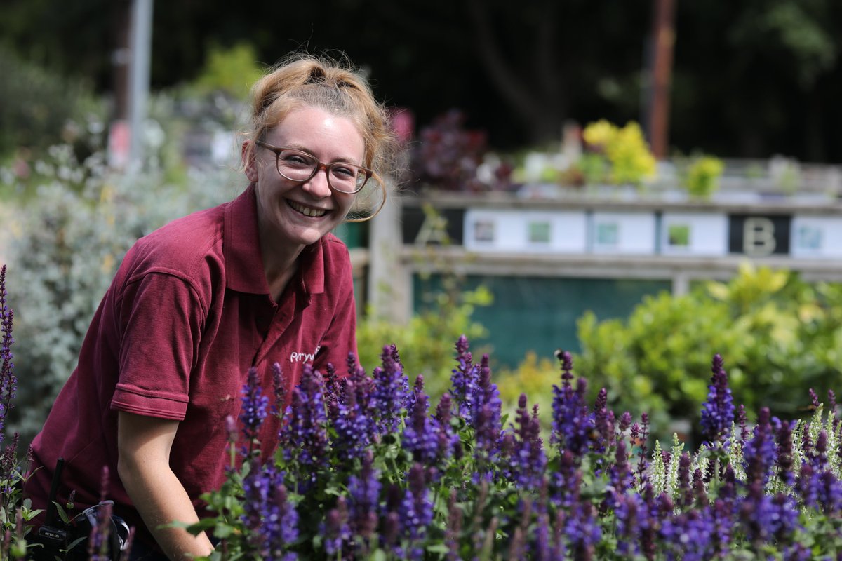 We are looking for a Plant Area Expert (full-time) who can combine an impressive knowledge of plants and gardening with excellent customer service skills.

For more information and to apply, please visit perrywoodsudbury.co.uk/careers.