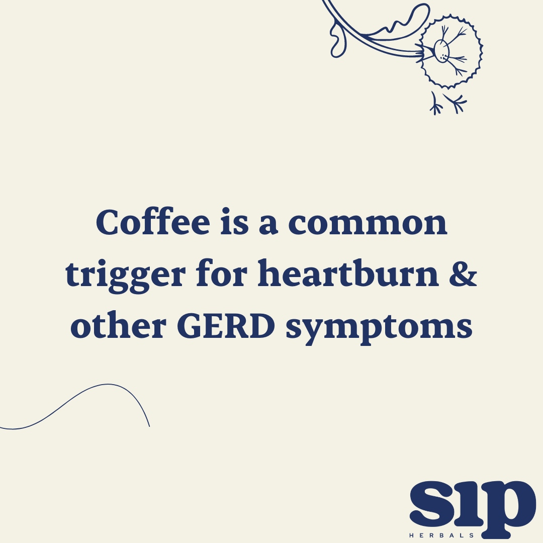 Sip Herbals tweet media