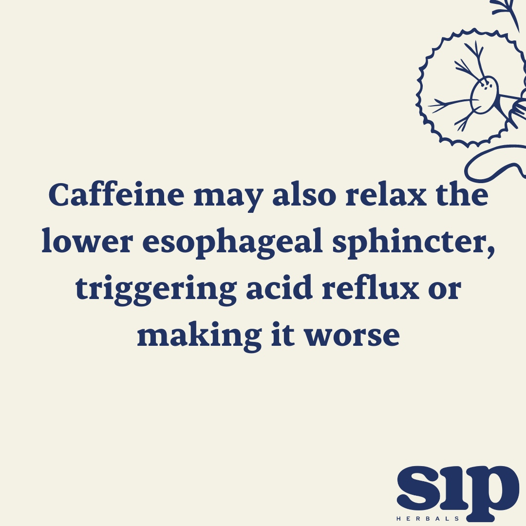 Sip Herbals tweet media