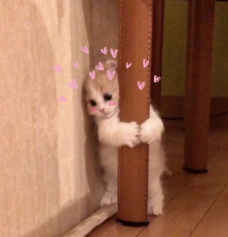 Shiro01ii's tweet photo. @wanwabper ขอบคุณค้าบบบ 🥺💖✨ https://t.co/OYB4U4WVrc