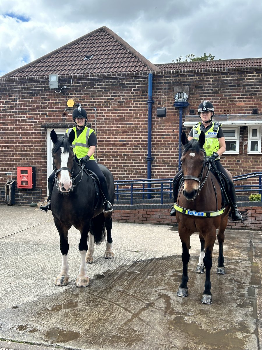 MerPolMounted's tweet photo. Today 2 of our grooms took Owen and Oxberry for a leg stretch with one of our officers along side Jake and Beau.
#StandTall #PHJake #PHOwen #PHJake #PHOxberry #WhatAJob https://t.co/HxyzLoGbsi