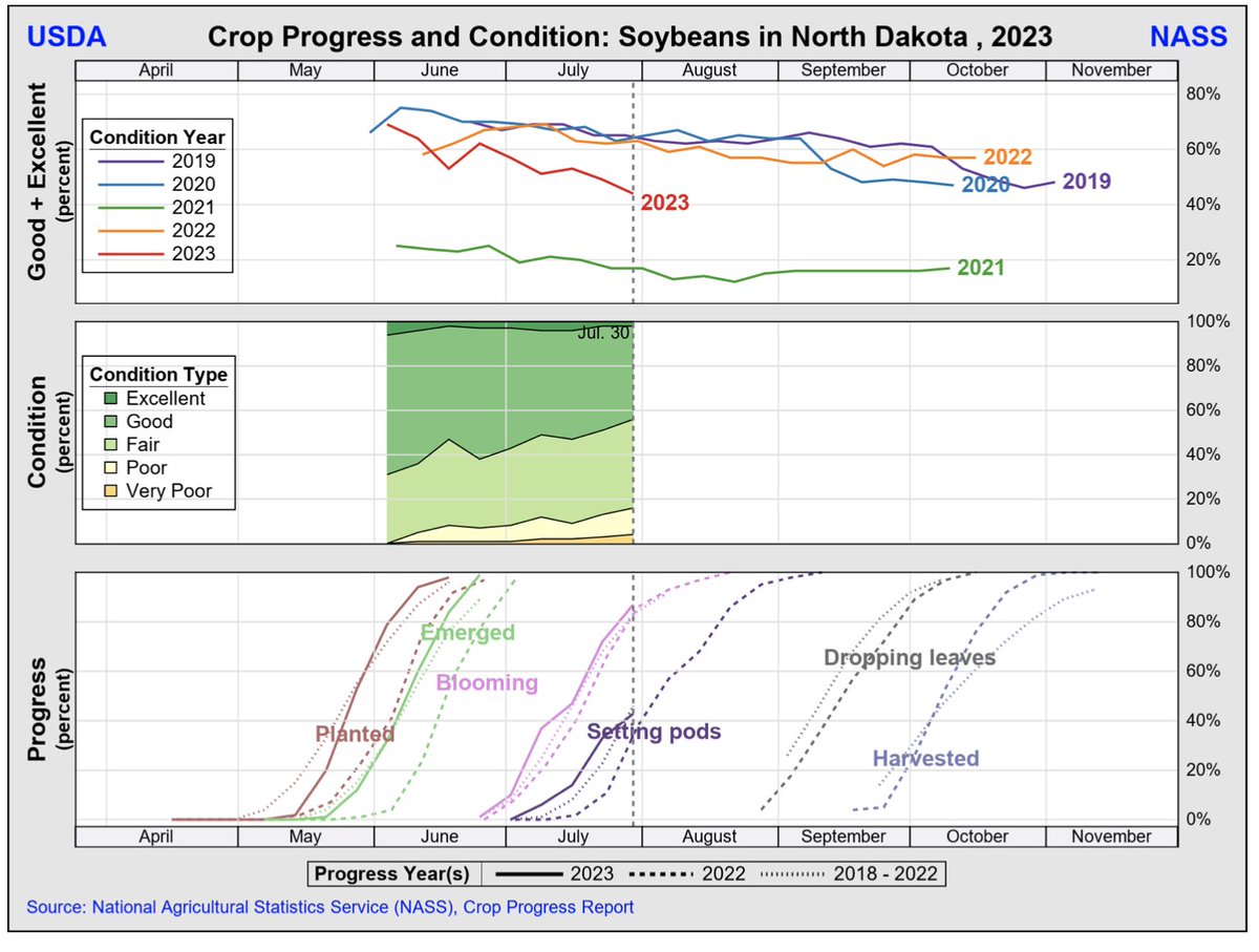 FarmPolicy's tweet photo. #Soybeans in #NorthDakota https://t.co/utyw2Oar3e