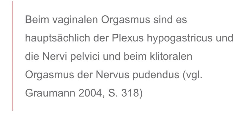 SPravaha's tweet photo. Wenn du mir schon auf die Nerven gehen musst, geh mir doch wenigstens auf den Pudendus Nerv. https://t.co/TT1wJF4Bge