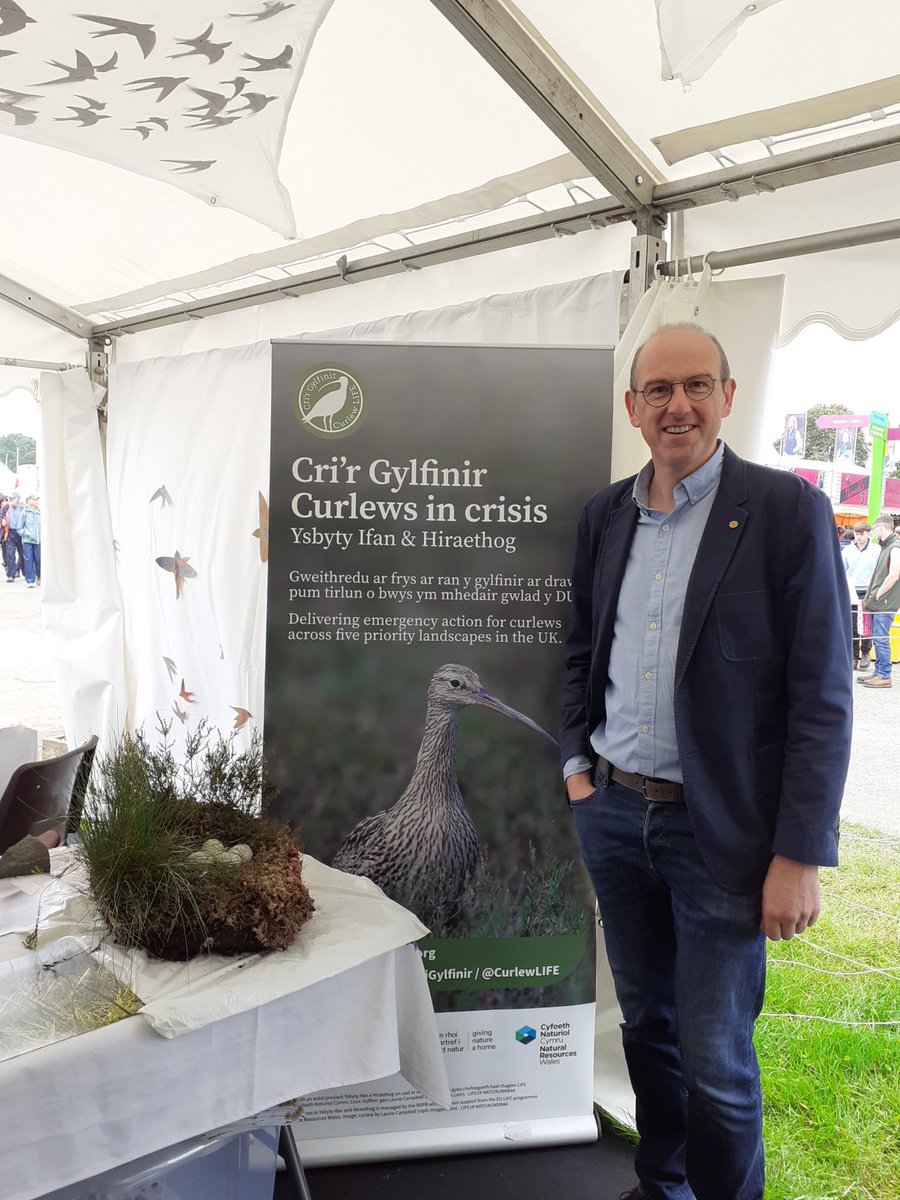 What a week the @royalwelshshow was! An absolute pleasure to welcome and chat to so many about our endeavour with farmers in saving the breeding population of curlew at Ysbyty Ifan & Hiraethog. Special thanks to @WGClimateChange Minister, @MarkIsherwoodMS & @LlyrGruffydd