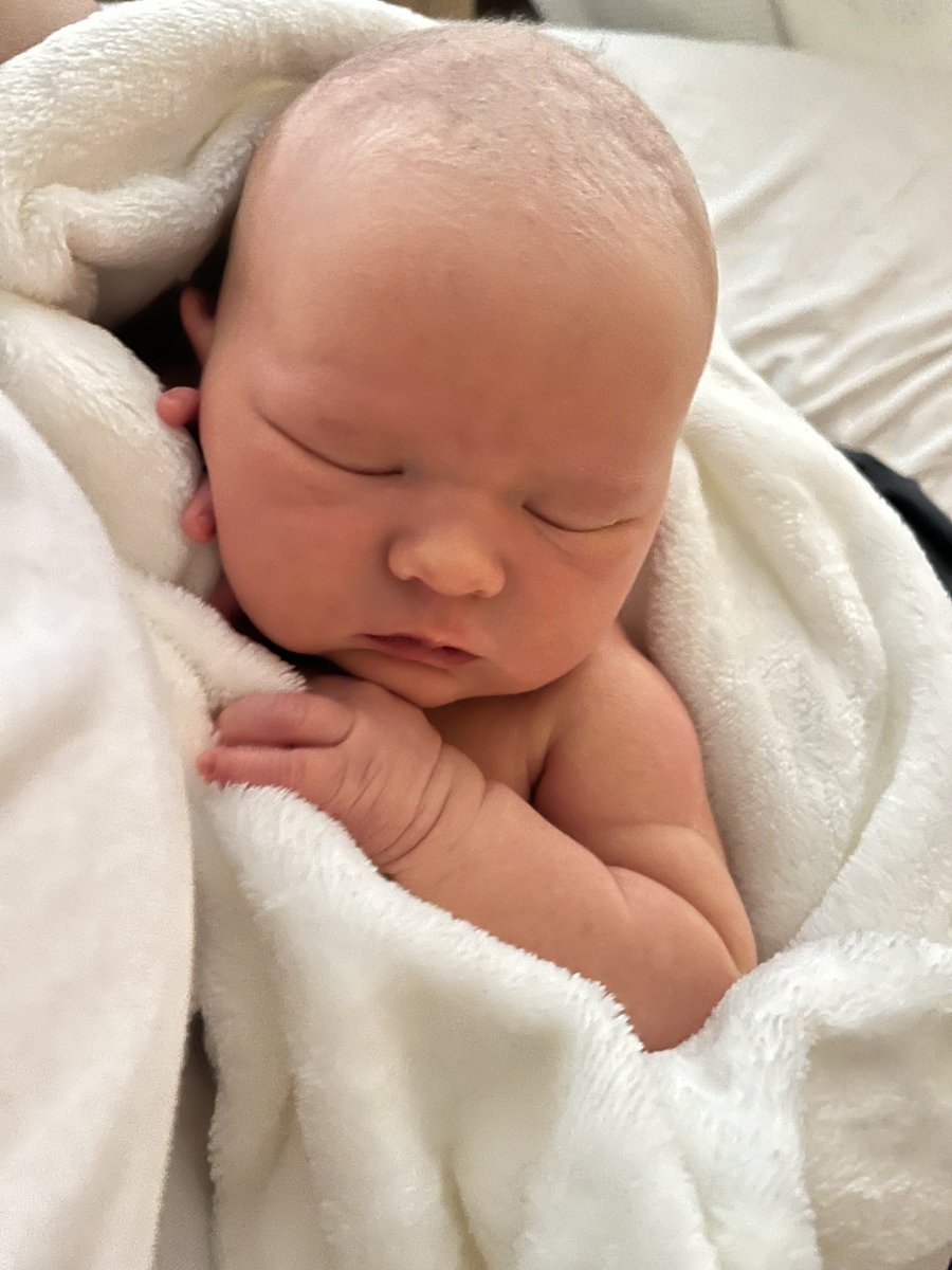 emmakennytv's tweet photo. The indescribable joy washing over me as I stare at you in wonder…..how grateful I am you chose me. Etta-Blue thank you xx https://t.co/3fU9uFVNob