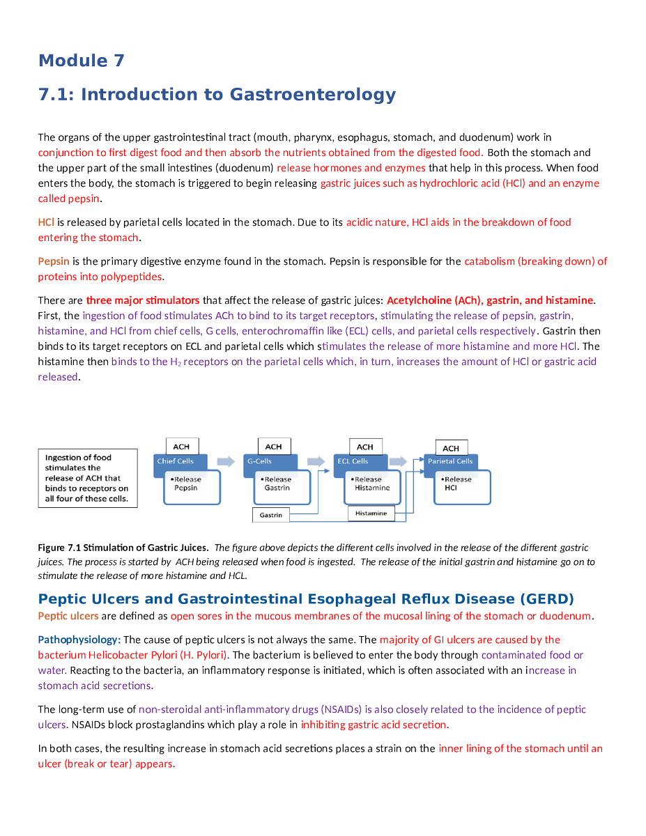 waanpeace32's tweet image. NURS 251 Module 7 #nurs #module7 #fliwy 
fliwy.com/item/360782/nu…