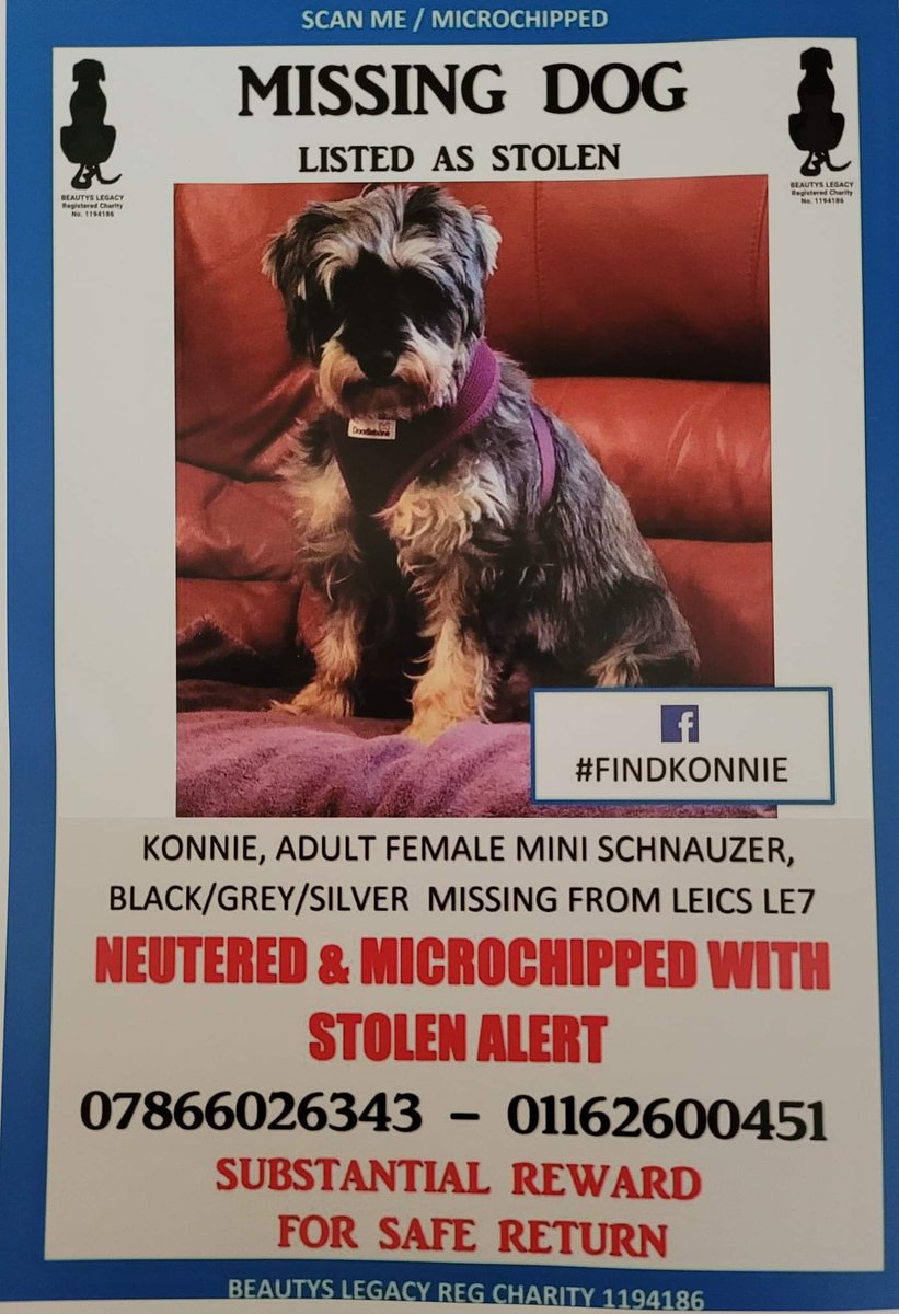 graemegoode's tweet photo. #lostdogslive
#findkonnieschnauzer

Please share we need help to find her and get her home.stolen and sold on. https://t.co/l2QRQn4QZ6
