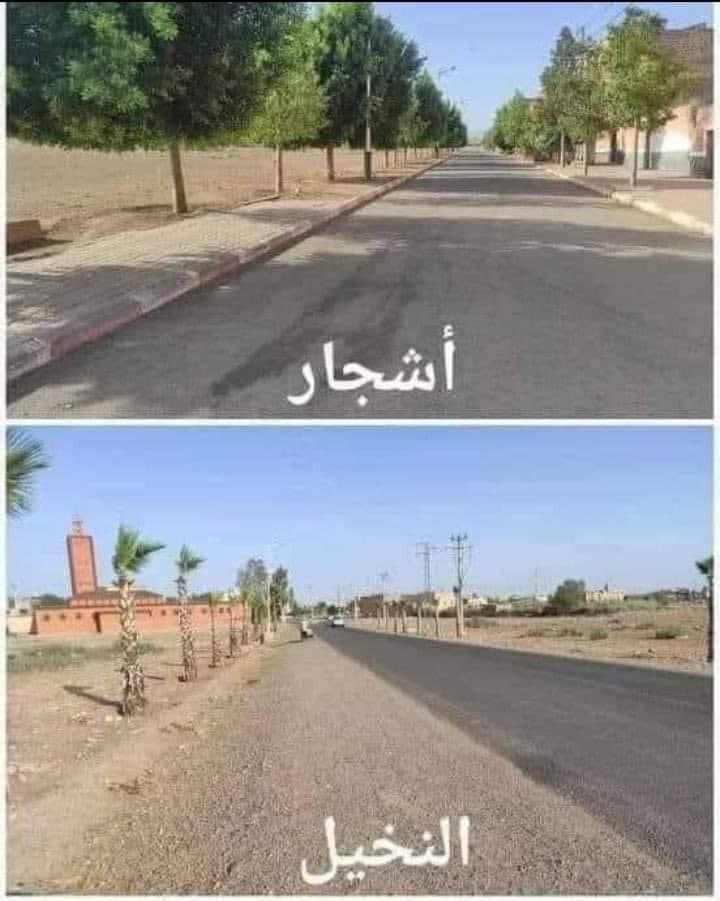 Bisha55833546's tweet photo. حان وقت التوقف عن زراعة النخيل واشجار البزرومي في الطرق والحدائق
والتوقف حالا عن تقزيم اشجار الطرق والحدائق

@Baladia_Besha
@saudimomra
@asirmunicipal https://t.co/AIB6J3h2Me